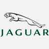 Jaguar Jaguar